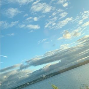 Meet your Posher, Shamis